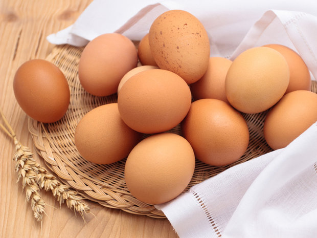 کاهش قیمت تخم مرغ 