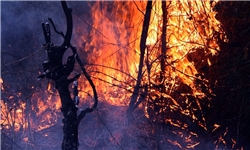70 هکتار از جنگل‌های گیلان در آتش سوخت