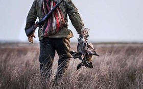 دستگیری شکارچیان کبوتر وحشی در لرستان