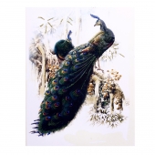 تابلو  تزئینی نما شیشه - طرح پرنده و طاووس 