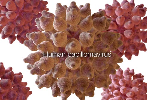 نتیجه تصویری برای ویروس پاپیلومای انسانی