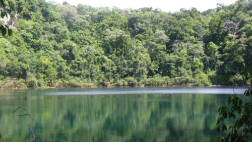 پارک ملی تیکال در گواتمالا